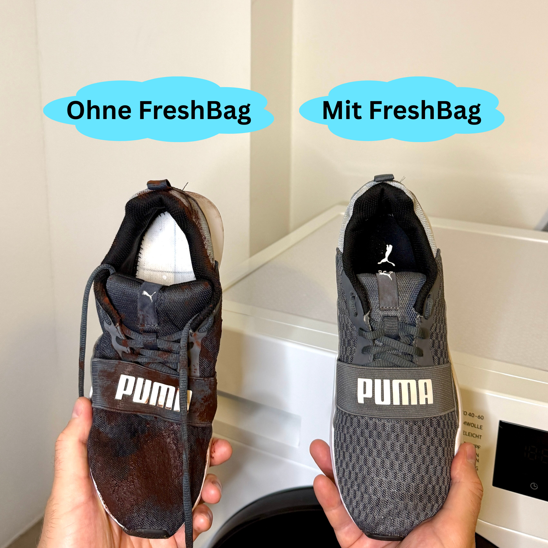 ShoePure FreshBag